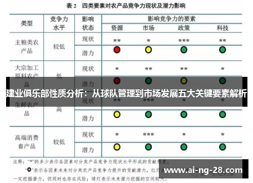 建业俱乐部性质分析：从球队管理到市场发展五大关键要素解析