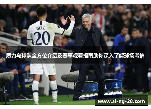 魔力鸟球队全方位介绍及赛事观看指南助你深入了解球场激情