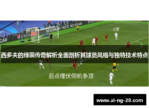 西多夫的绿茵传奇解析全面剖析其球员风格与独特技术特点