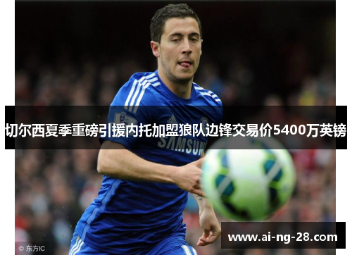 切尔西夏季重磅引援内托加盟狼队边锋交易价5400万英镑