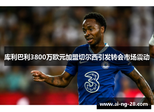 库利巴利3800万欧元加盟切尔西引发转会市场震动 库利巴利3800万欧元加盟切尔西引发转会市场震动
